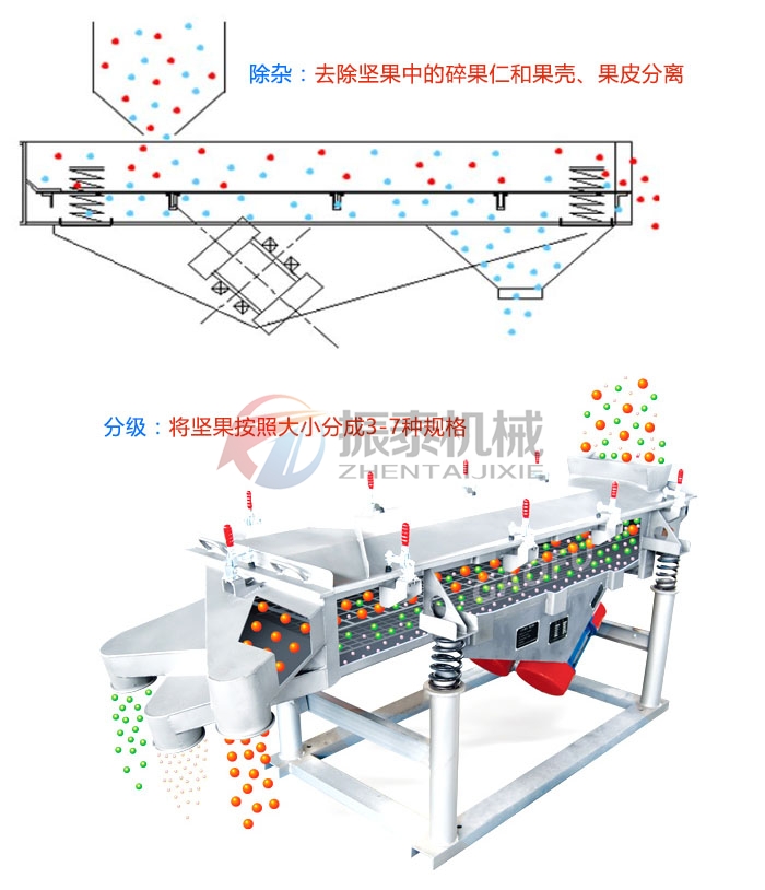 玉米芯粉直线蜜桃黄片一区二区原理